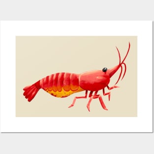 Pregnant Aquarium Cherry Shrimp Posters and Art